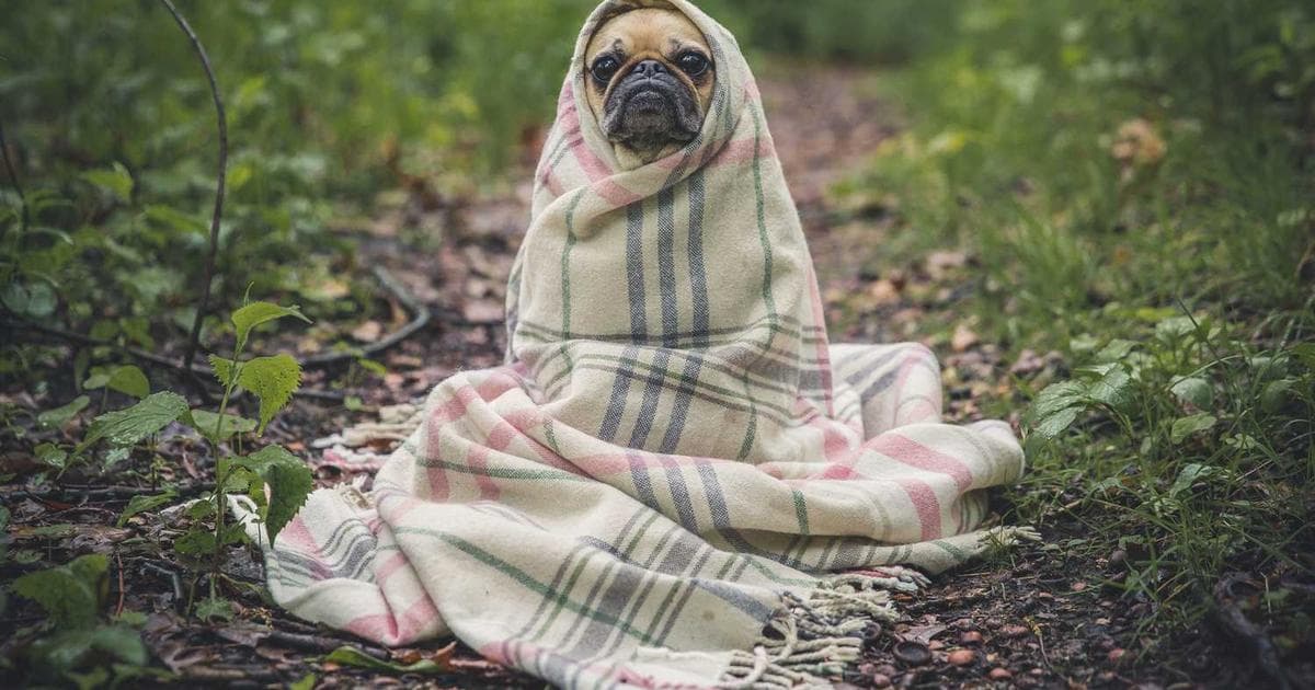 Accent Discrimination in Business: It's Real. Here's How to Neutralize It.